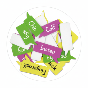 โปสเตอร์การเรียนรู้ร่างกายมนุษย์สำหรับเด็กแบบถอดได้พร้อมสติกเกอร์ติดผนังเพื่อการศึกษาสำหรับห้องเด็ก - Product Image 6