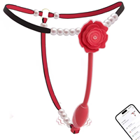 Vibrateur portable pour femmes, jouet sexuel pour adultes, mini-vibrateur à commande par application, jouet sexuel pour culotte