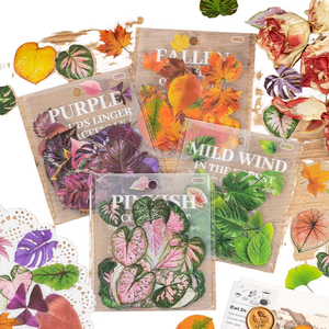 40 pcs/pack PET Sticker Pack Twenty-four Years of Dream Series Simulation Leaves Theme Handbook Valley Beauty DIY Decorative - Product Image 1