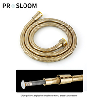 Ensemble de pulvérisation pour bidet mural moderne en laiton, finition or clair, avec douchette écologique et accessoires Shattaf