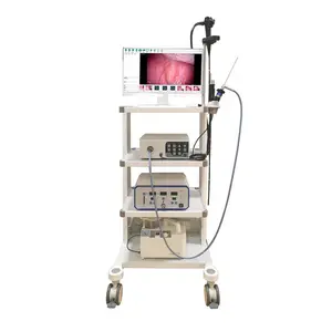 Fabrika fiyat 1080 Hd tıbbi esnek sert endoskopi kamerası sistem ekipmanları veteriner endoskop kamera köpek at