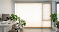 Stores Zebra Zigbee Tuya pour Fenêtres Domestiques - Protection Lumière et UV Réglable, Écologiques, Contrôle par Capteur, Utilisation Chambre et Salon