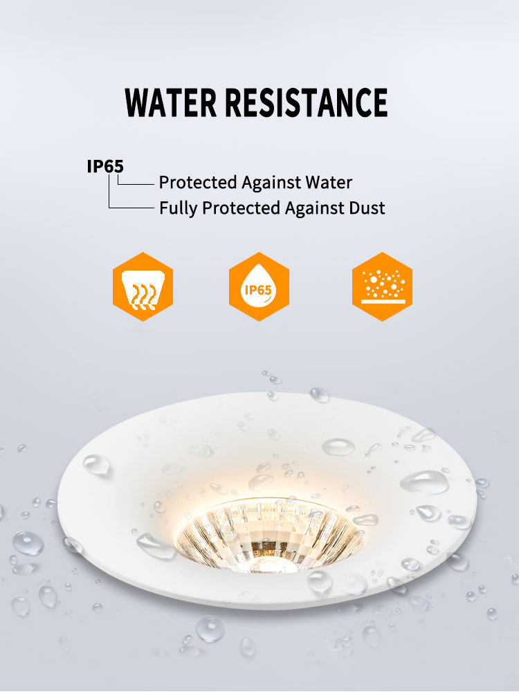 Recessed Waterproof IP65 Downlight