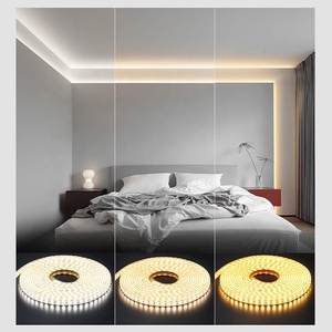 Chất lượng cao có thể điều chỉnh 3528 120D SMD LED Strip 8 mét <span class=keywords><strong>PCB</strong></span> Chiều rộng Đồng đèn cơ thể IP44 cuttable đầy màu sắc CRI với ứng dụng chế độ điều khiển - Product Image 2