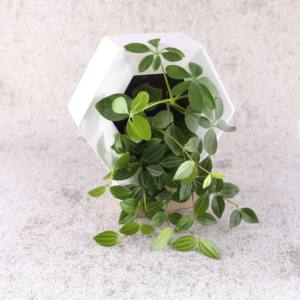 Macetas de Pared <span class=keywords><strong>para</strong></span> Plantas de Interior, Macetas Verticales DIY, Macetas Hexagonales Ligeras, Macetas Colgantes Decorativas <span class=keywords><strong>para</strong></span> Plantas - Product Image 1