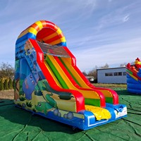 Toboggan gonflable écologique commercial avec PVC haute résistance pour les parcs à thème et les entreprises de location d'événements de carnaval