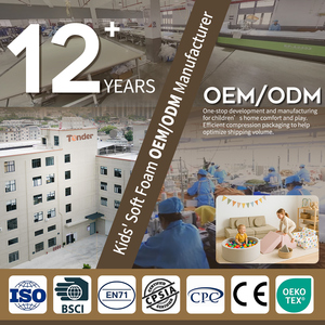 TenderPlayful OEM 6 pièces Jouets d'escalade et blocs en mousse souple Ensemble de jeu d'escalade d'intérieur avec piscine à balles pour tout-petits - Product Image 5