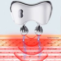 Fabricant de haute qualité Logo personnalisé Soins de la peau Guasha Outil de massage corporel GuaSha en métal avec rouleau