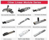 Module linéaire CNC à axe X Y Z RKK60, module linéaire à vis à billes, guide coulissant linéaire KK40 KK50 KK86 KK130 KK100
