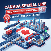 Transporteur Sinotrans Express Fedex Guangzhou Shanghai Chine Agents maritimes à Ddp Canada Australie États-Unis par mer