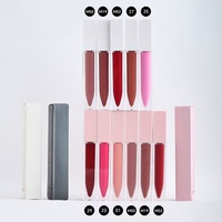 Rouge à lèvres liquide végan avec logo personnalisé Rouge à lèvres longue durée rose nu mat brillant à lèvres imperméable à l'eau Crayon à lèvres sans cruauté Marque privée