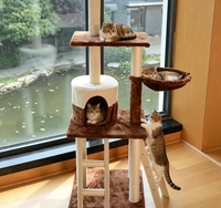 Arbre à chat bicolore avec niche ronde fermée, hamac latéral en tissu, échelle à marches en sisal et plusieurs colonnes en sisal pour animaux de compagnie