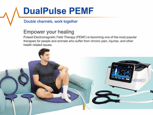 Equipo Portátil de Magnetoterapia, Dispositivo PEMF para el Manejo del Dolor en Caballos y Clínicas de Fisioterapia - Product Image 3