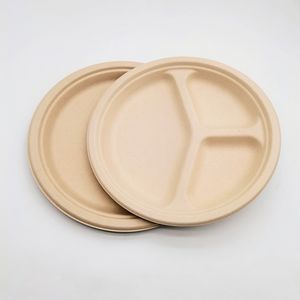 Assiettes jetables en bagasse de canne à sucre de 8 pouces en gros, boîte à lunch compostable, vaisselle écologique pour fêtes et camping - Product Image 6