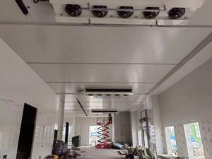 商用节能冷储室，采用R-410A制冷剂，可定制尺寸 - Product Image 3