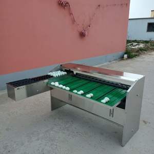 تُستخدم في البيضة ، وهي كهربائية أوتوماتيكية بالكامل - Product Image 6