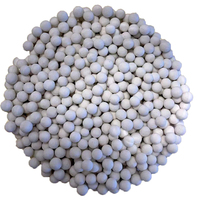 Billes de céramique minéralisantes Longxin pour la mineralisation de l'eau potable, fabriquées en Chine