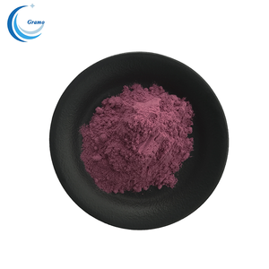 Poudre de jus de fruits naturels, poudre de baies de sureau noires - Product Image 2