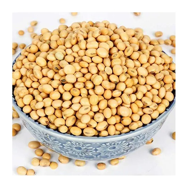 High Quality Commercial Dry Non-Gmo Prices Organic Brazil Soybean