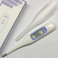 Digital Electronic Thermometer