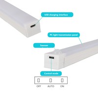 Lumière LED à détecteur de mouvement pour armoire, cave à vin, meuble à chaussures, veilleuse à capteur
