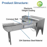 Trieuse automatique pour petits œufs de poule pour l'industrie alimentaire Trieuse du poids des œufs Trieuse des œufs au poids
