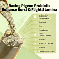 Poudre de performance pour pigeons de course, Nutrition pour la période d'entraînement et de course, Soutien à la circulation sanguine et à la récupération, Graines de chia, 1000g