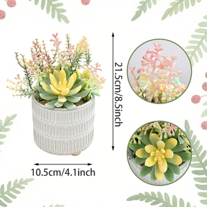 Piante Grasse Artificiali <span class=keywords><strong>in</strong></span> <span class=keywords><strong>Vaso</strong></span> - Decorazione Moderna ed Estetica per Casa, Pasqua, Primavera e Matrimoni - Product Image 2