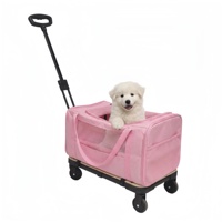 Sac de transport pliable 2 en 1 pour animaux de compagnie, chariot à roulettes télescopique en maille respirante pour chats et chiens, voyages en plein air