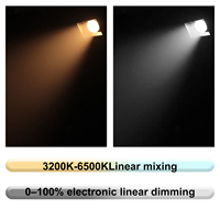 Mini projecteur LED COB 80W portable DMX512 blanc chaud/blanc froid 2-en-1 avec stroboscope pour mariage, événement, fête, location professionnelle