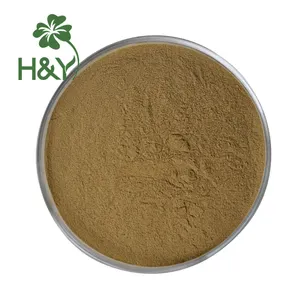 High quality Hoodia Gordonii extract powder Hoodia Gordonii