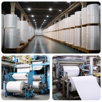 Rollo Jumbo de Material Transparente Brillante para Láser: BOPP, Vinilo, PVC, PET, PP, Papel Sintético y Material Autoadhesivo