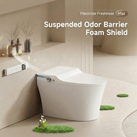 Toilette intelligente de style australien moderne avec levage à une touche, télécommande, drainage en P/S, certification CE pour maisons de luxe