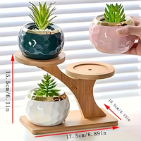 Plantes personnalisées de grande taille avec support en bois, plantes écologiques modernes, support en bois avec support à tasses à bascule en bois à 3 niveaux
