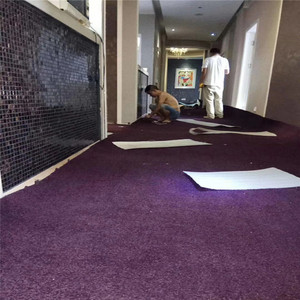 Không trơn trượt Máy làm Polypropylene Đồng bằng sang trọng màu hồng phòng khách sàn xù xì Fluffy Mat Thảm đống cao xoắn sợi thảm - Product Image 4