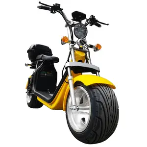Bjane Factory Supply Sharing Electric Scooter 2000w Brushless Citycoco Adult Electric Motorcycle Scooter For Rent Business