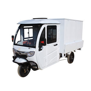 Certificat Nouveau style avec tricycle électrique entièrement fermé enregistrable CE pour une utilisation en moto - Product Image 5