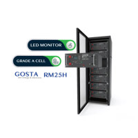 Rak Promosi GOSTA Baterai Surya 50AH 100AH 150AH 200AH Baterai Lithium Lifepo4 Kabinet Penyimpanan Energi Dalam Ruangan