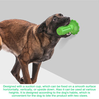 Jouet à mâcher pour chien en TPR, brosse à dents pour animaux, bâtonnet dentaire molaire avec ventouse