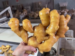 Lát gừng cao cấp 150g + cắt tay từ rễ chính Độ dày đồng đều sẵn sàng để sử dụng - Product Image 5