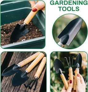 Ensemble de 3 mini-outils de jardinage <span class=keywords><strong>en</strong></span> <span class=keywords><strong>bois</strong></span>, outils de jardinage à main <span class=keywords><strong>pour</strong></span> bonsaï, outils <span class=keywords><strong>japonais</strong></span> <span class=keywords><strong>pour</strong></span> bonsaï - Product Image 3