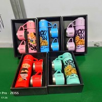Vente en gros 500Ml d'eau chaude et froide double paroi en acier inoxydable isolé sport fiole à vide thé coffret cadeau avec deux tasses