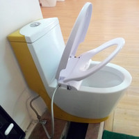 Toilette bidet siège CB3600