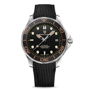 2025 New PAGANI DESIGN Men's Watches Luxury Automatic Watch for Men NH35A Mechanical Wrist Watch Men AR Sapphire Crystal <b>Clock</b> - Product Image 1