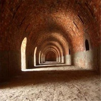 Hoffman — ligne de Production de briques d'argile rouge automatique, à bas prix, tube de Tunnel pour four