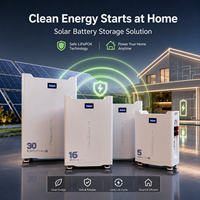 Batterie de stockage LiFePO4 solaire hybride empilable pour extérieur 16 kWh 51,2 V 314 Ah intelligente CAN/WIFI sans entretien et fiable