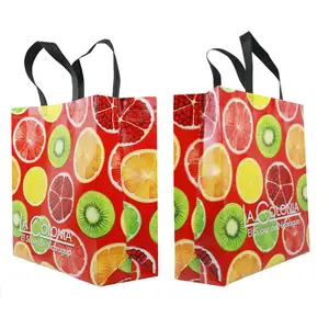 Eco Friendly Biodegradable PP Spunbond Nonwoven Shopping Bag Non Woven Fabric Carry Bag Foldable Non Woven Bag Promotional