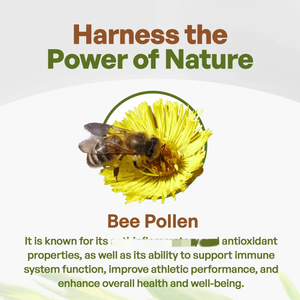 Extrait <span class=keywords><strong>d</strong></span>'herbes de qualité alimentaire supérieure, <span class=keywords><strong>pollen</strong></span> <span class=keywords><strong>d</strong></span>'<span class=keywords><strong>abeille</strong></span> en vrac, miel naturel en bouteille et en fût - Product Image 5