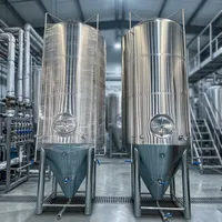 Fermenteur à bière en acier inoxydable 1000L 20HL 20BBL 40HL, réservoir de fermentation conique pour bière, unitank à vendre