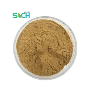 Natural Pure Lupinus Albus Lupinus Polyphyllus Extract Powder 10:1 Lupinus Albus Seed Extract